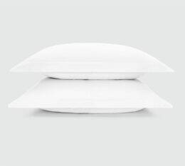 Paragon cotton pillow sham